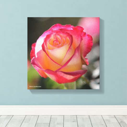 Roos met dubbele helderheid canvas afdruk (Insitu (Houten vloer))