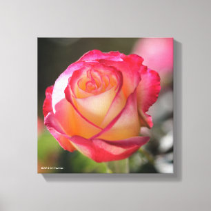 Roos met dubbele vertraging canvas afdruk