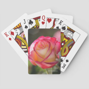 Roos met dubbele vertraging pokerkaarten