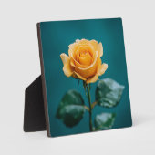 Roos met één deelvenster fotoplaat (Voorkant)