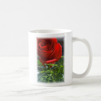 Roos met ster Coffee cup Koffiemok