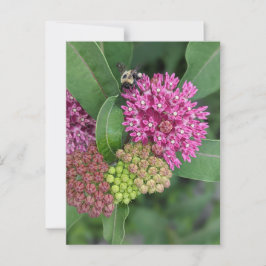 Roos Milkweed Briefkaart