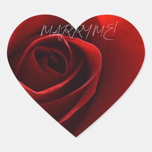 ROOS MOOI HART STICKER (Voorkant)