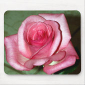 Roos Muismat (Voorkant)