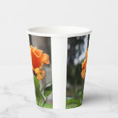 Roos Papieren Bekers (Rechts)