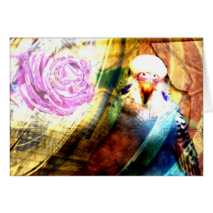 Roos parkiet collage - kaart