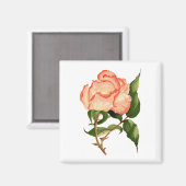 roos perzik waterverf 2 Inch Square Magnet Magneet (Voorkant / Achterkant)
