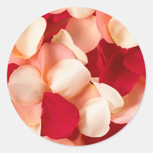 Roos Petaal Stickers (Voorkant)
