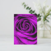 Roos Petals 2 Briefkaart (Staand voorkant)