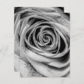 Roos Petals 5 Notitiekaartje (Voorkant / Achterkant)