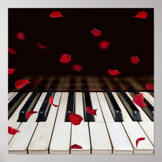 Roos Petals op Piano Keys Poster (Voorkant)
