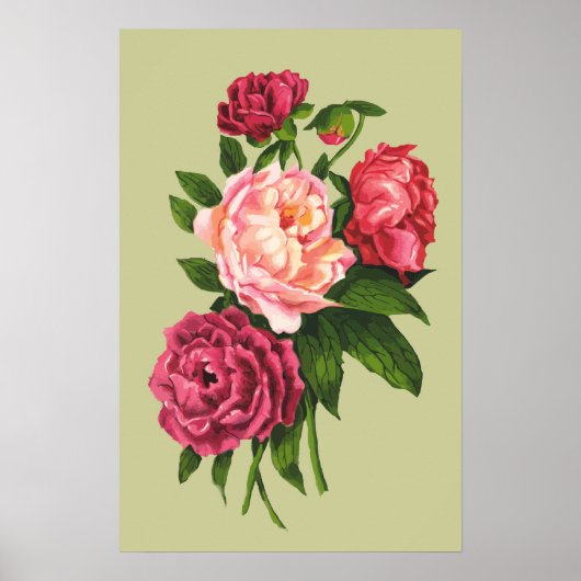  Roos Pink Peony Garden Flower Poster (Voorkant)