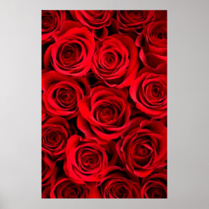 Roos Poster