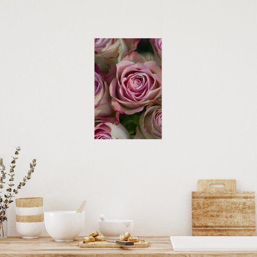 Roos Poster (Keuken)