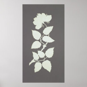 Roos Poster
