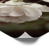 Roos Raindrop Lijst  Creëer Uw eigen foto Poster (Hoek)