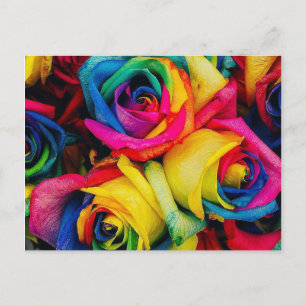 Roos regenboog briefkaart