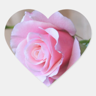 Roos Reverence Heart Stickers