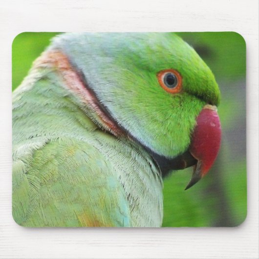 Roos-Ringed Paraket Mousepad Muismat (Voorkant)