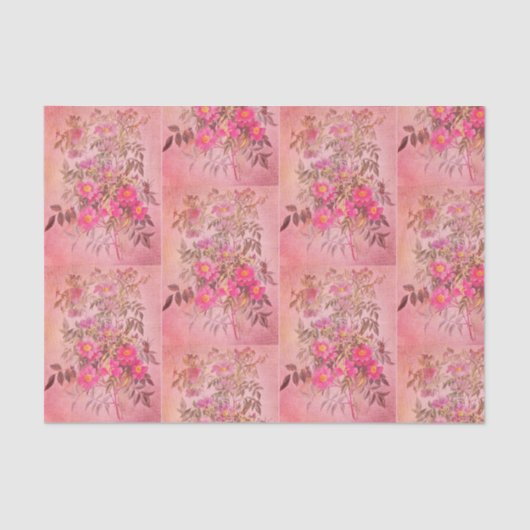 Roos Roze Florence-papier Tissuepapier (Voorkant)