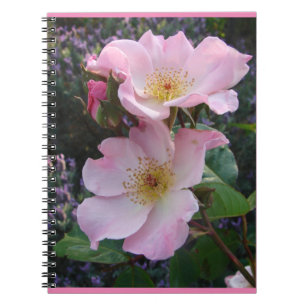 Roos Rozen Roze Vintage Wilde retro Bloem Notitieboek