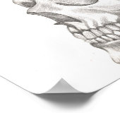 Roos schedel poster (Hoek)