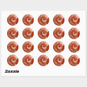 Roos Stickers (Vel)