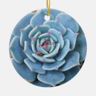 Roos Succulent Ornament