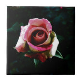 roos  tegeltje (Voorkant)