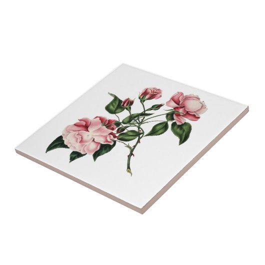 Roos Tile Tegeltje (Zijkant)