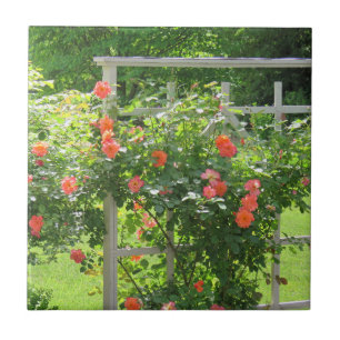 Roos Tile Westerland Coral Tegeltje