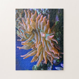 Roos Tip Anemone Legpuzzel