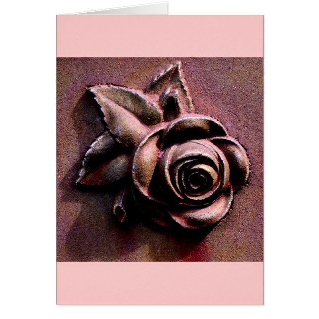 Roos van de kerkhof (Voorkant)