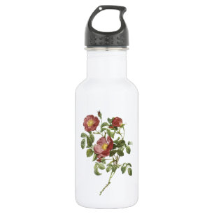roos van de liefde (Rosa pumila) door Redouté Waterfles