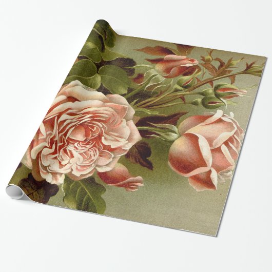 Roos van kool cadeaupapier (Uitgerold)