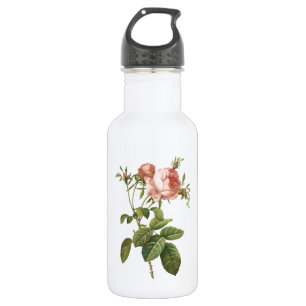 roos van kool (Rosa centifolia foliacea) van Redou Waterfles