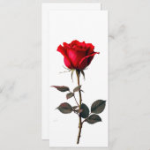 Roos van Liefde Kaart (Voorkant / Achterkant)