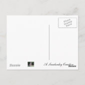 Roos van patriottische kleuren briefkaart (Achterkant)