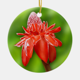 Roos van rode carriboon Exotic Flower Keramisch Ornament