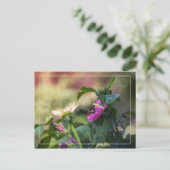 Roos van Sharon en bezoeker Briefkaart (Staand voorkant)