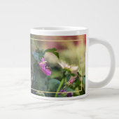 Roos van Sharon en bezoeker Extra Grote Beker (Rechts)