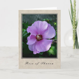 Roos van Sharon - Floral Series Kaart