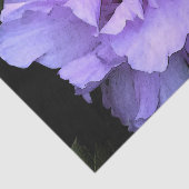 Roos van Sharon Tissuepapier (Detail)