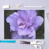 Roos van Sharon Tissuepapier (Craft)