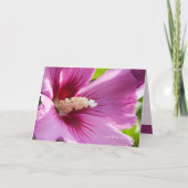 Roos van Sharron Kaart (Voorkant)