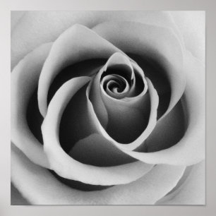Roos ventilator Black and White Photography Poster