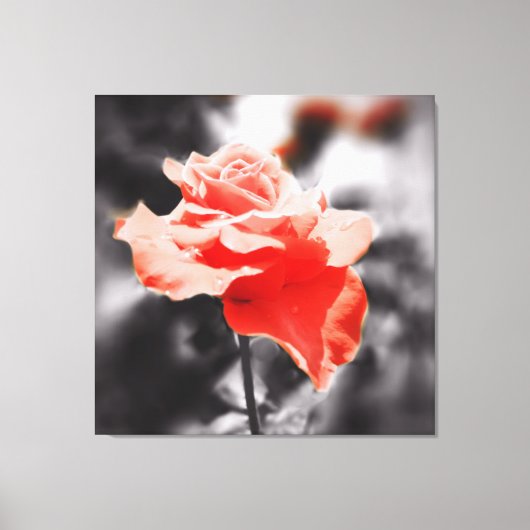  Roos ventilator Canvas Afdruk (Voorkant)