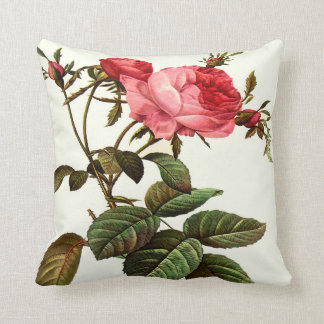 Roos ventilator voorlentedraal kussen