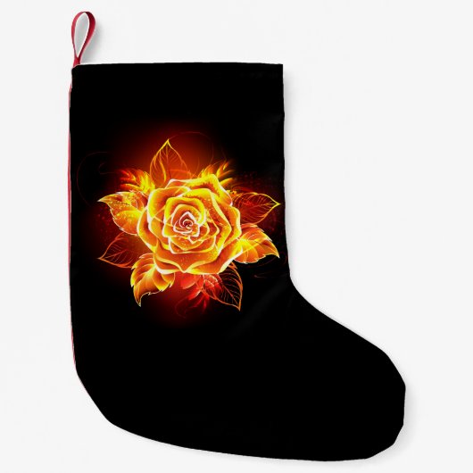 Roos voor bloei kleine kerstsok (Voorkant)
