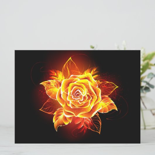 Roos voor bloei programma (Staand voorkant)